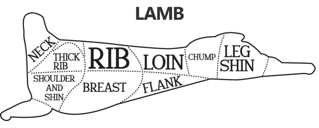 cuts-of-meat_lamb